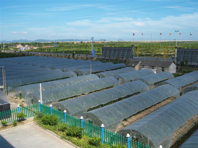 復合型大棚 復合型大棚